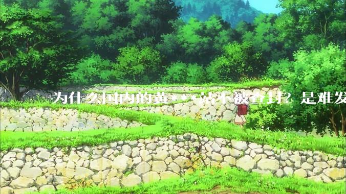 为什么国内的黄***站不被查封？是难发现吗？