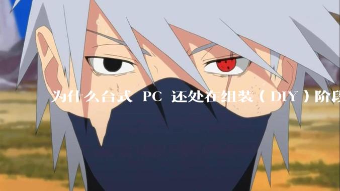 为什么台式 PC 还处在组装（DIY）阶段？