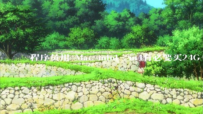 程序员用 Mac mini  m4有必要买24G+的吗(非主力机)?