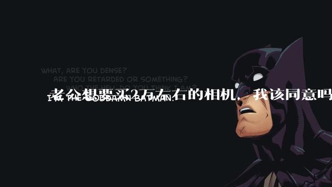 老公想要买2万左右的相机，我该同意吗？