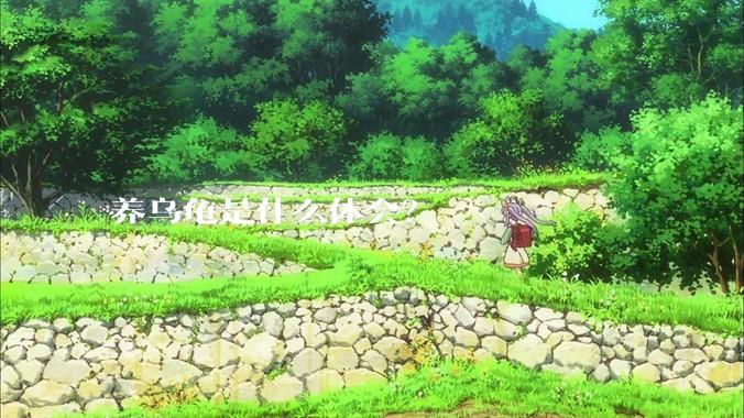 养乌龟是什么体会？