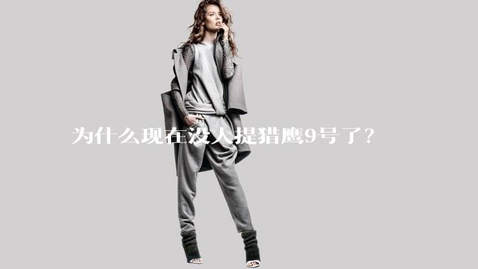 为什么现在没人提猎鹰9号了？