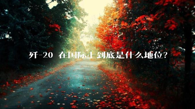 歼-20 在国际上到底是什么地位？