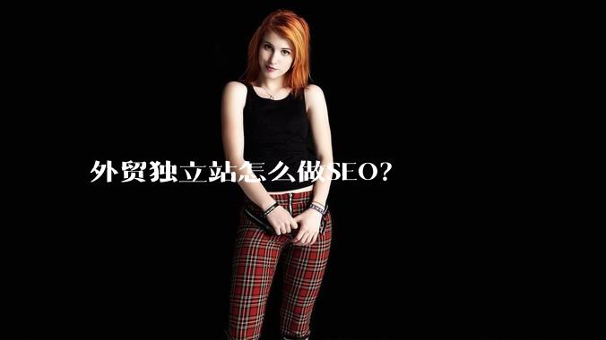 外贸独立站怎么做SEO？