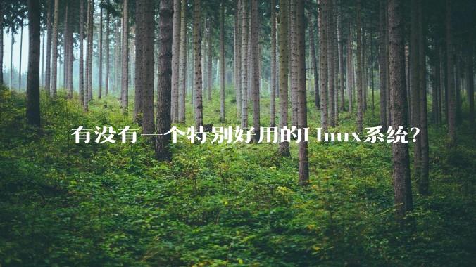 有没有一个特别好用的Linux系统？