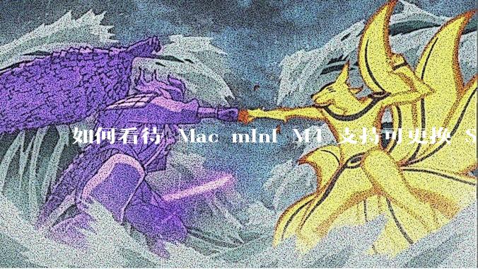 如何看待 Mac mini M4 支持可更换 SSD？