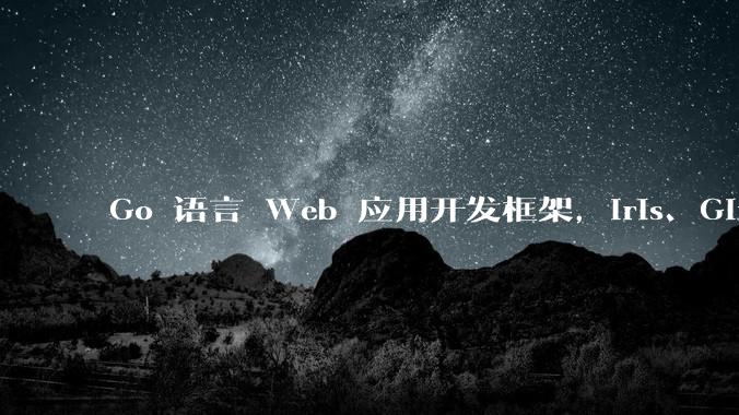Go 语言 Web 应用开发框架，Iris、Gin、Echo，哪一个更适合大型项目？
