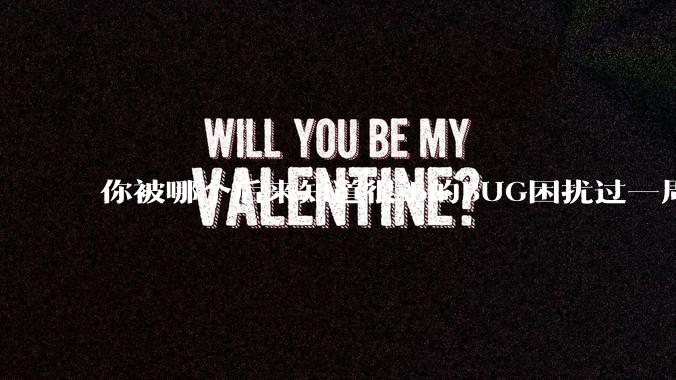 你被哪个后来知道很sb的BUG困扰过一周以上吗？