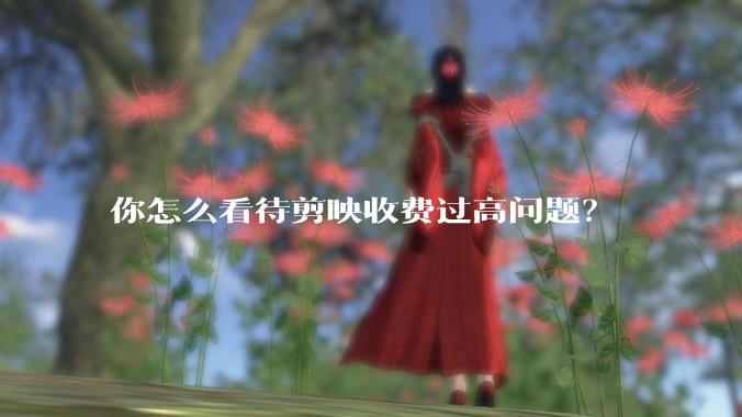 你怎么看待剪映收费过高问题？