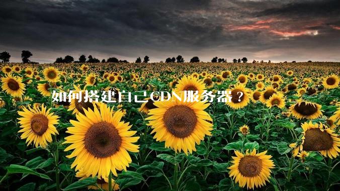 如何搭建自己CDN服务器?