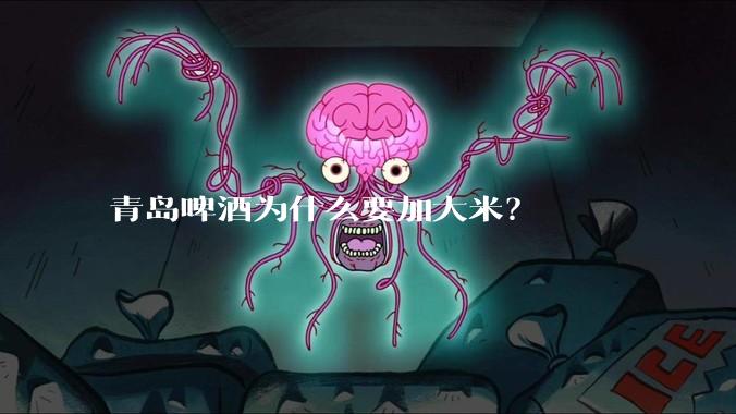青岛啤酒为什么要加大米？
