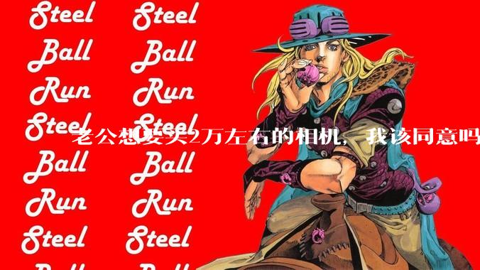 老公想要买2万左右的相机，我该同意吗？