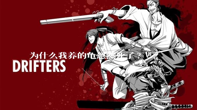 为什么我养的龟忽然死了?