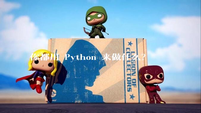 你都用 Python 来做什么？