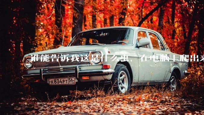 谁能告诉我这是什么虫，在电脑上爬出来吓死我了 ?