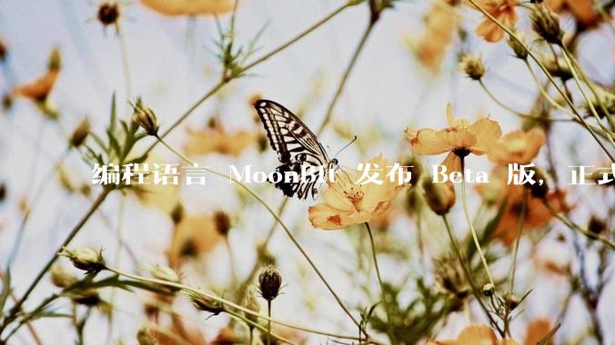 编程语言 MoonBit 发布 Beta 版，正式进入企业场景应用，会带来哪些影响？