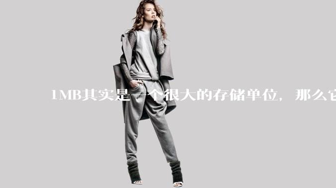 1MB其实是一个很大的存储单位，那么它的存储容量究竟有多大？