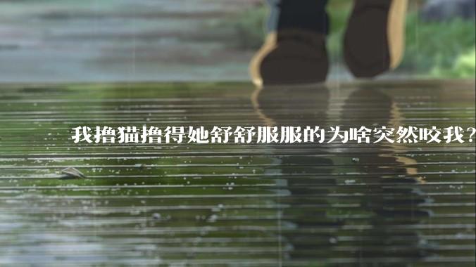 我撸猫撸得她舒舒服服的为啥突然咬我？