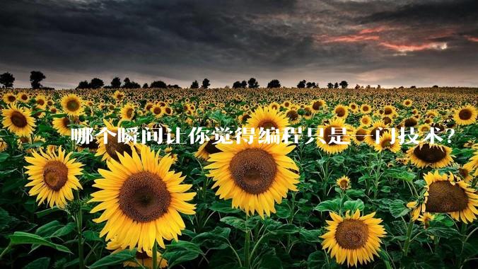 哪个瞬间让你觉得编程只是一门技术？